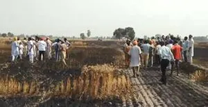 Jalalabad Fire nearly 100 acres of wheat crop burnt to ashes