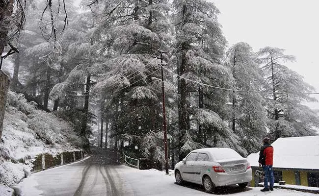 Image result for snowfall shimla