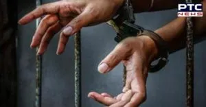 Bhawanigarh: 240 bottles Alcohol Desi Haryana Including car rider arrested
