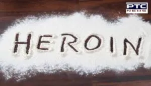 Fazilka : BSF 20 crore heroin recovered from India-Pak border