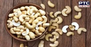 Cashew Eating health benefits And Disadvantages