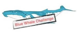 Blue Whale Challenge, another 14 year old boy falls victim