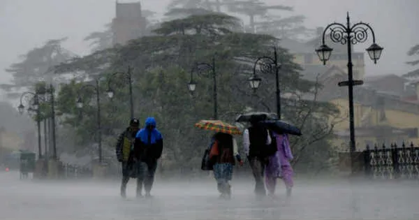 Upcoming rains in Punjab to pull deficiency figures down, Cold Day conditions likely | Skymet Weather Services