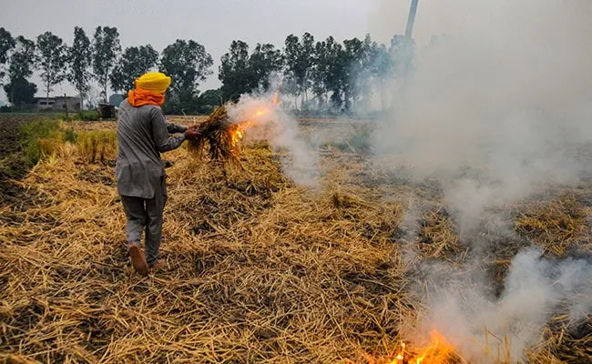 Punjab Records Season's Highest Number Of Stubble Burning Incidents Today