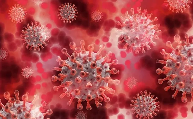 Coronavirus Significantly Raises Risk Of Stillbirth, Says US Study
