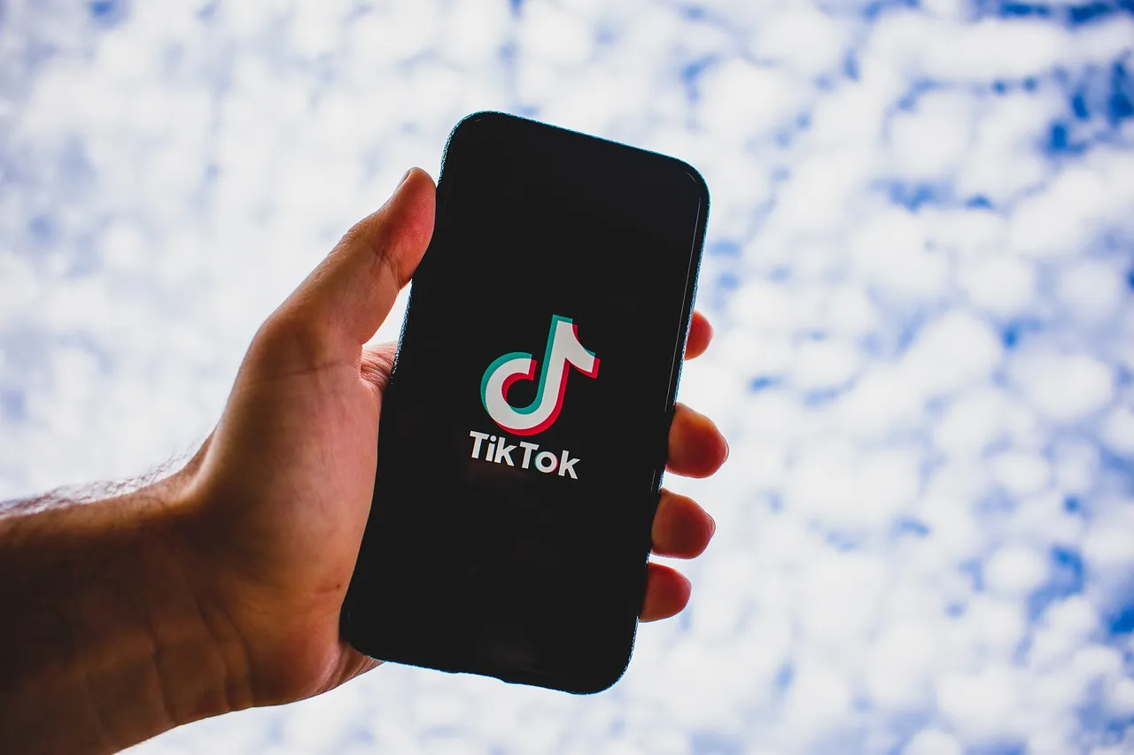 TikTok faces €6B lawsuit in Netherlands court - JURIST - News - Legal News & Commentary
