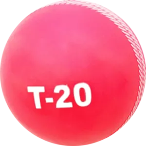 Paras Dhiman scores double century in T-20 match