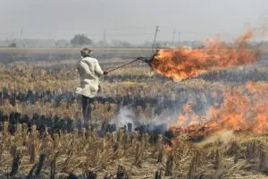 chennai-based company to prevent stubble burning