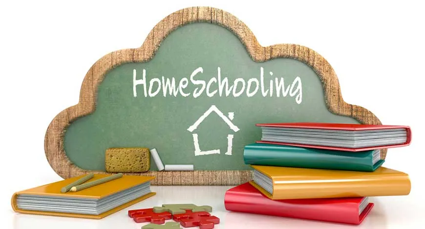 I Dont Advocate Home schooling But Schools In India Leave No Choice - BW Education