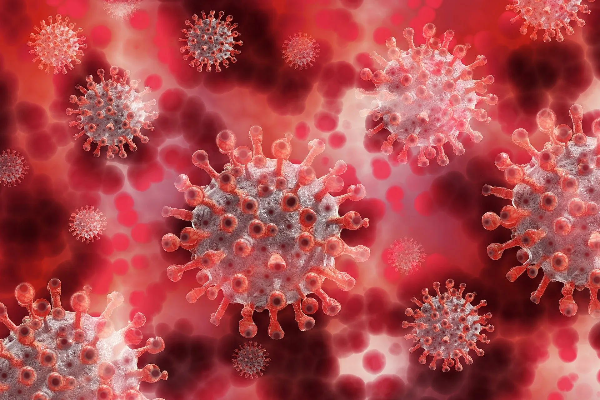 Coronavirus India: Maharashtra, Kerala, Punjab, Karnataka, Gujarat, have been recording an upsurge in daily new cases of coronavirus. 