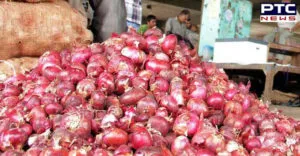 Onions Price Hike in Punjab latest news in punjab