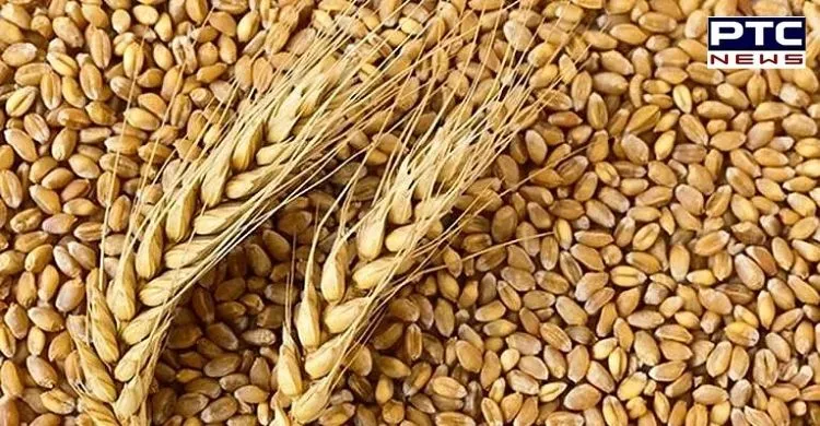 India bans wheat exports with immediate effect to control rising prices