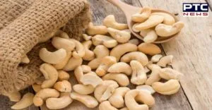 Cashew Eating health benefits And Disadvantages