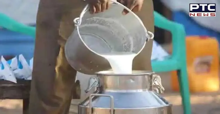 Milkfed Punjab increases milk procurement price by Rs 20 per kg fat