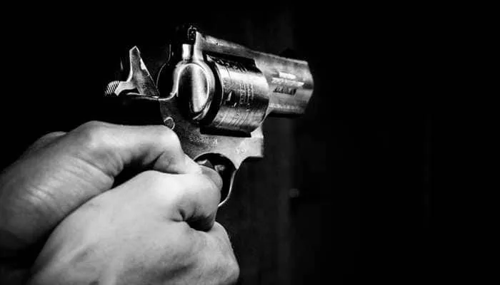 Police officer injured in gun firing incident at Delhi's Inderlok | Delhi  News | Zee News