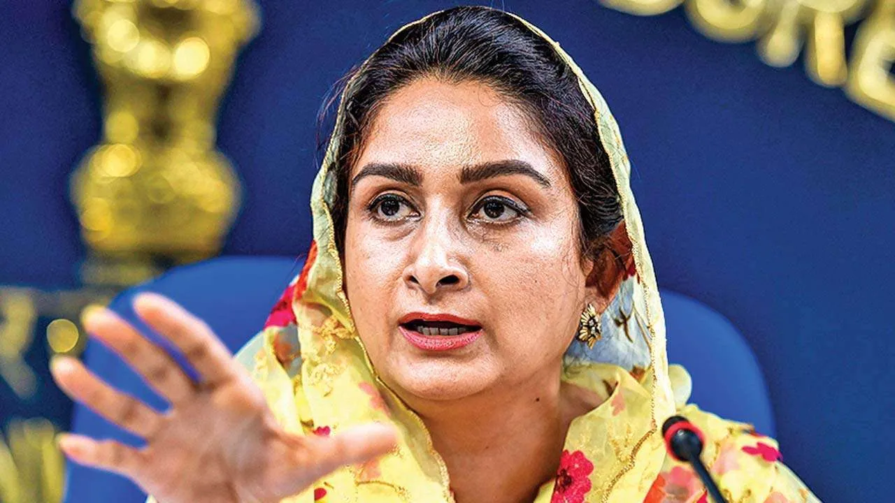 Harsimrat Badal on Viability Gap Funding: Harsimrat Kaur Badal asked central government to review Delhi-Bathinda flight. 