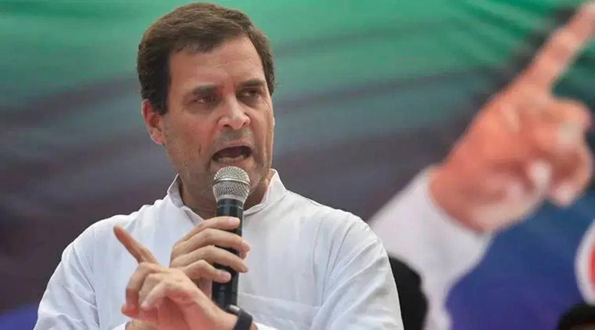 Coronavirus News: Congress leader Rahul Gandhi has tested positive for the coronavirus, the politician informed on Tuesday. 