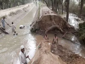 bathinda village teuna Canal Dump