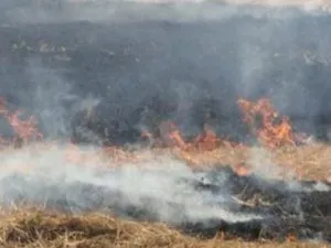 five farmers penalised Rs 2,500 each for burning paddy stubble