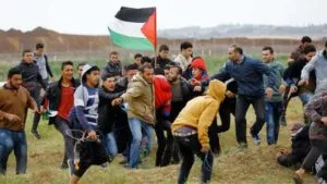 Four Gazans killed by Israeli fire on border: ministry