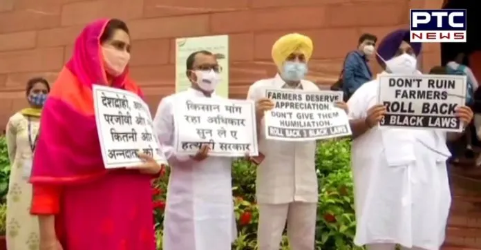 SAD-BSP MPs protest outside Parliament, chant 'Kale kanoon wapis lo' | PTC NEWS