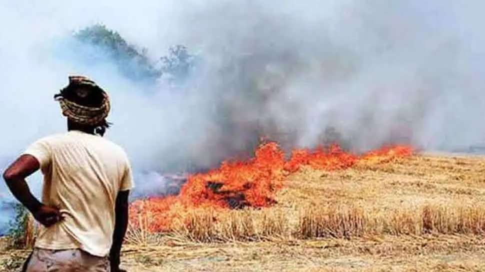 30% rise in stubble burning cases in Punjab | India News | Zee News