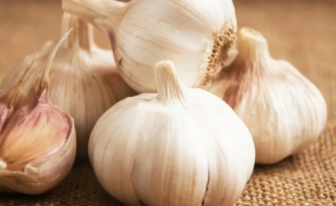 benefits of eating garlic