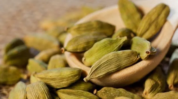 cardamom 