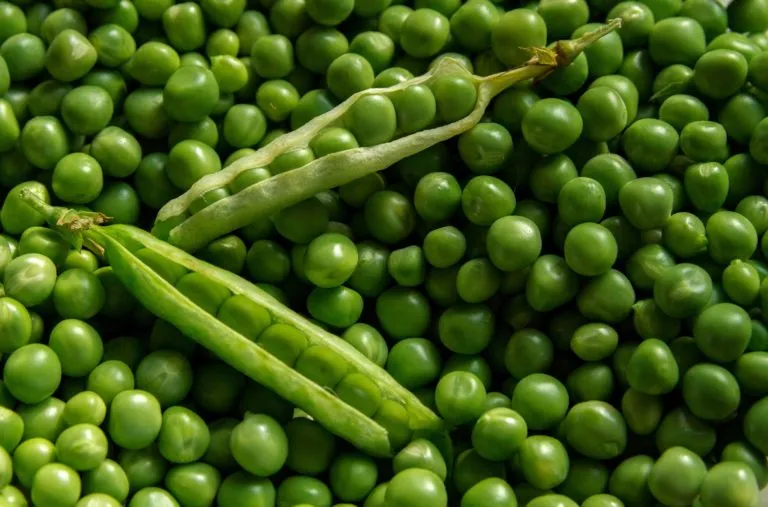 green-pea