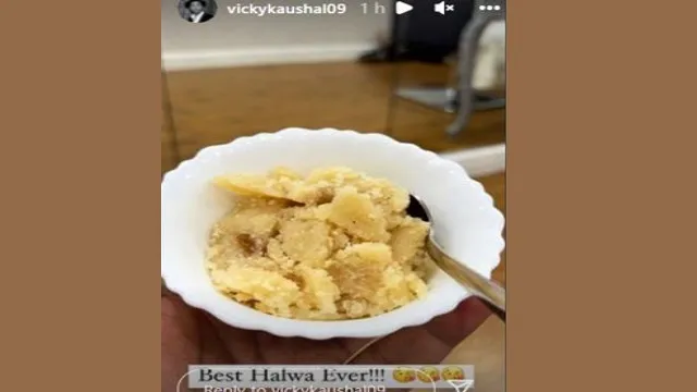 VICKY KAUSHAL INSTA STORY