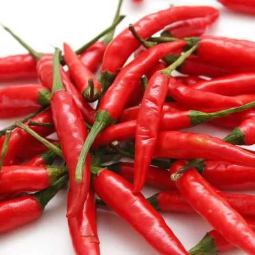 red-chilli