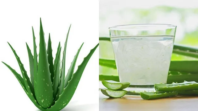 Aloevera,,