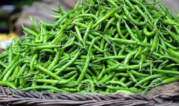 picture of green chilli