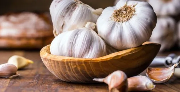 photo of garlic