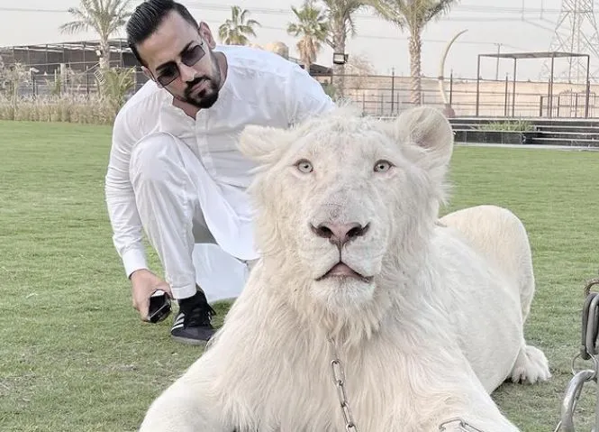 garry sandhu with white tiger