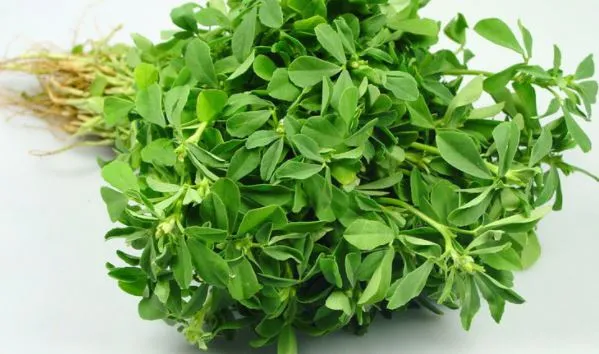 methi benefits