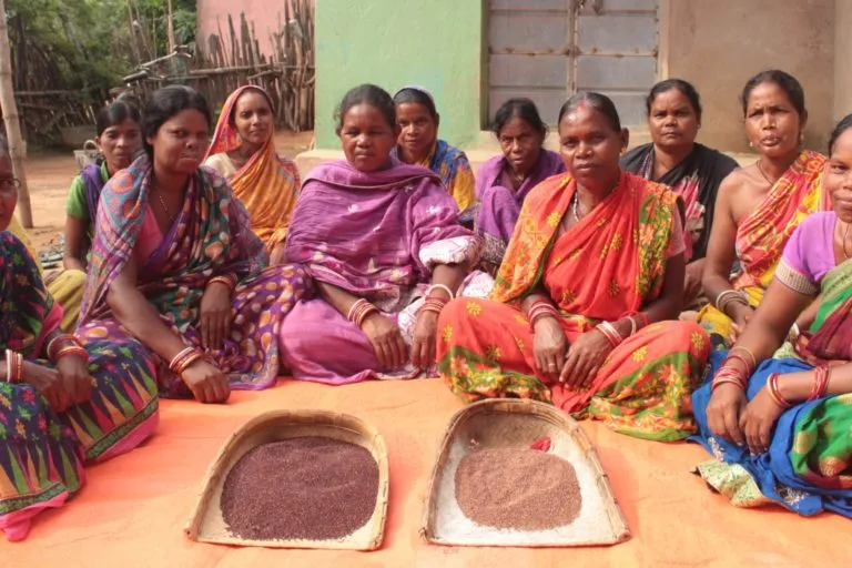 Millet in odisha females