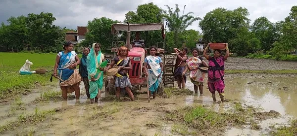 champa shg kisan did