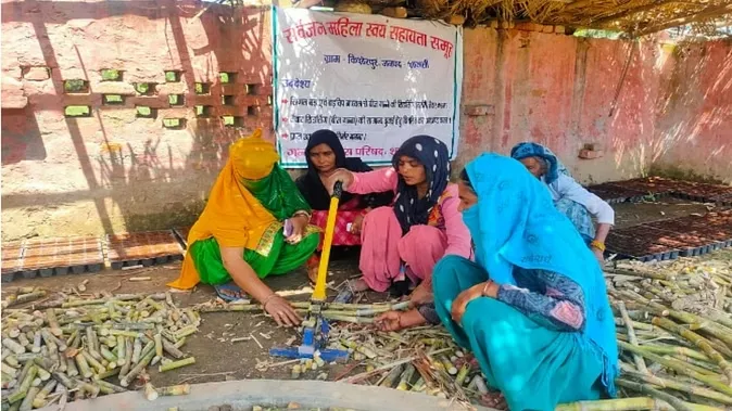 women sugarcane farming