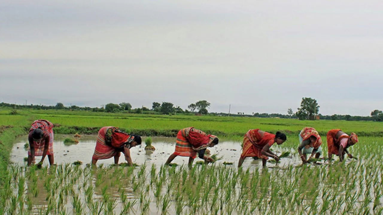 women farmers