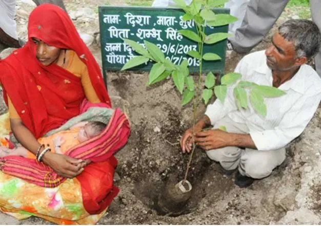 piplantri rajasthan saving girl