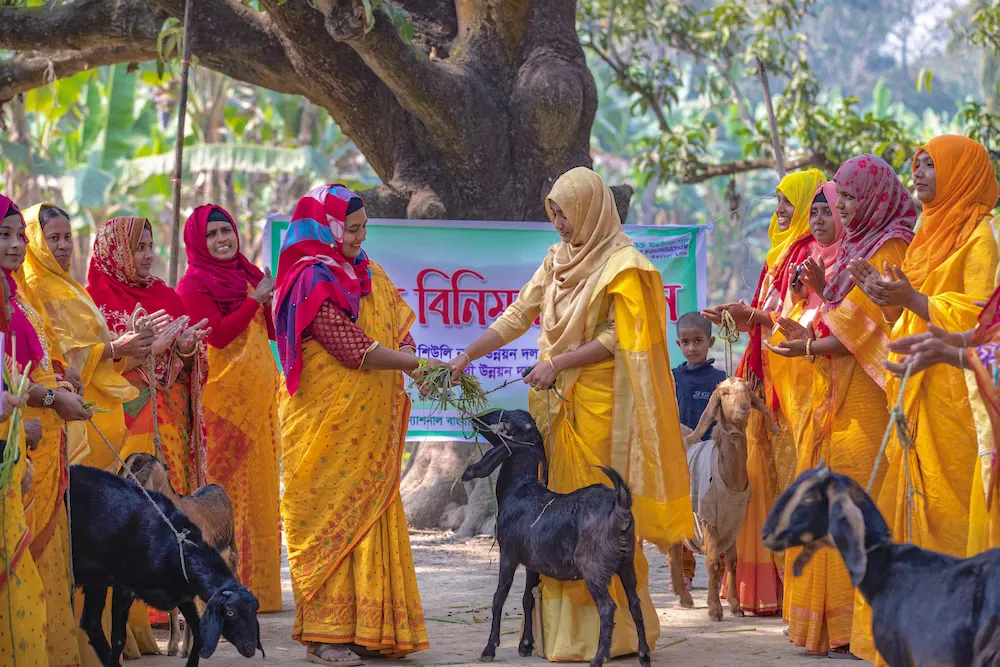 Heifer International SHG