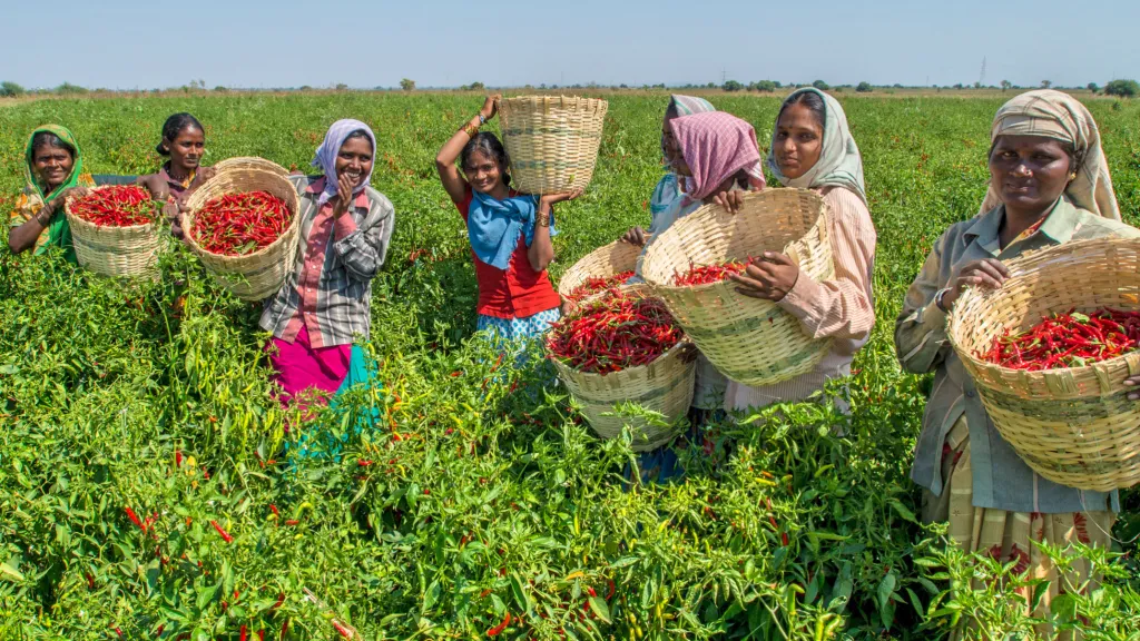 top organic farms 