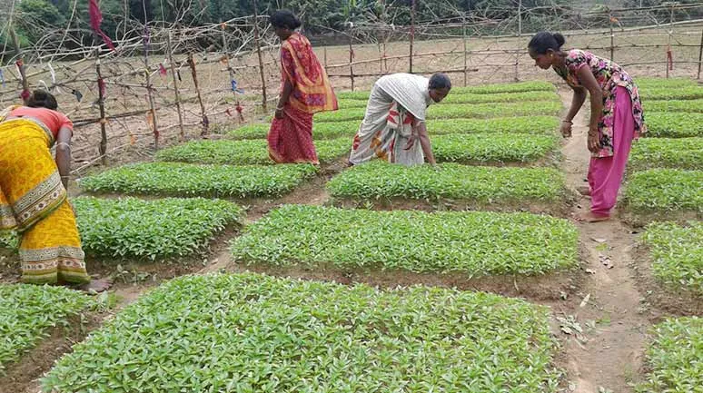 women farmers