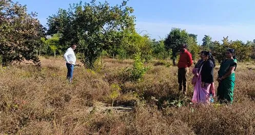 balaghat nursery