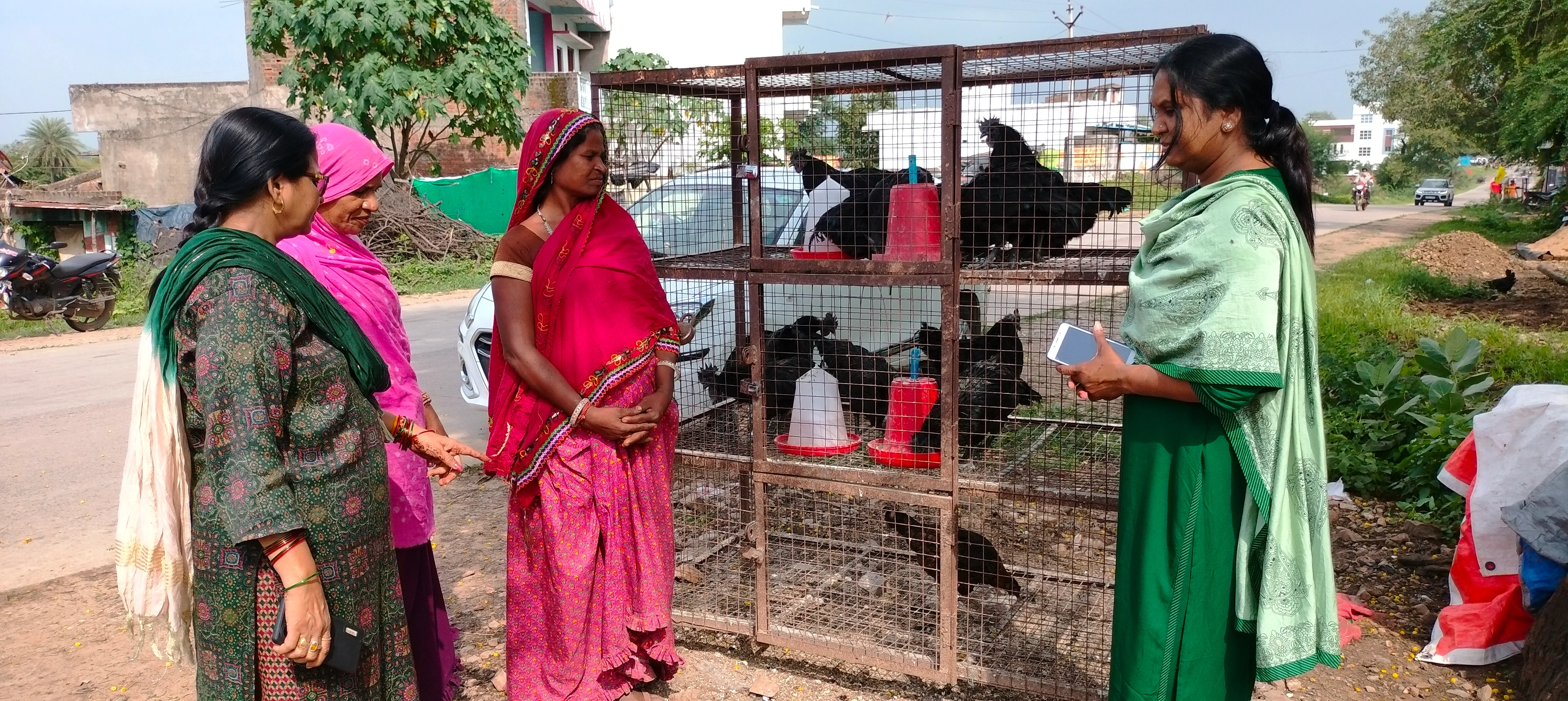 kadaknath 