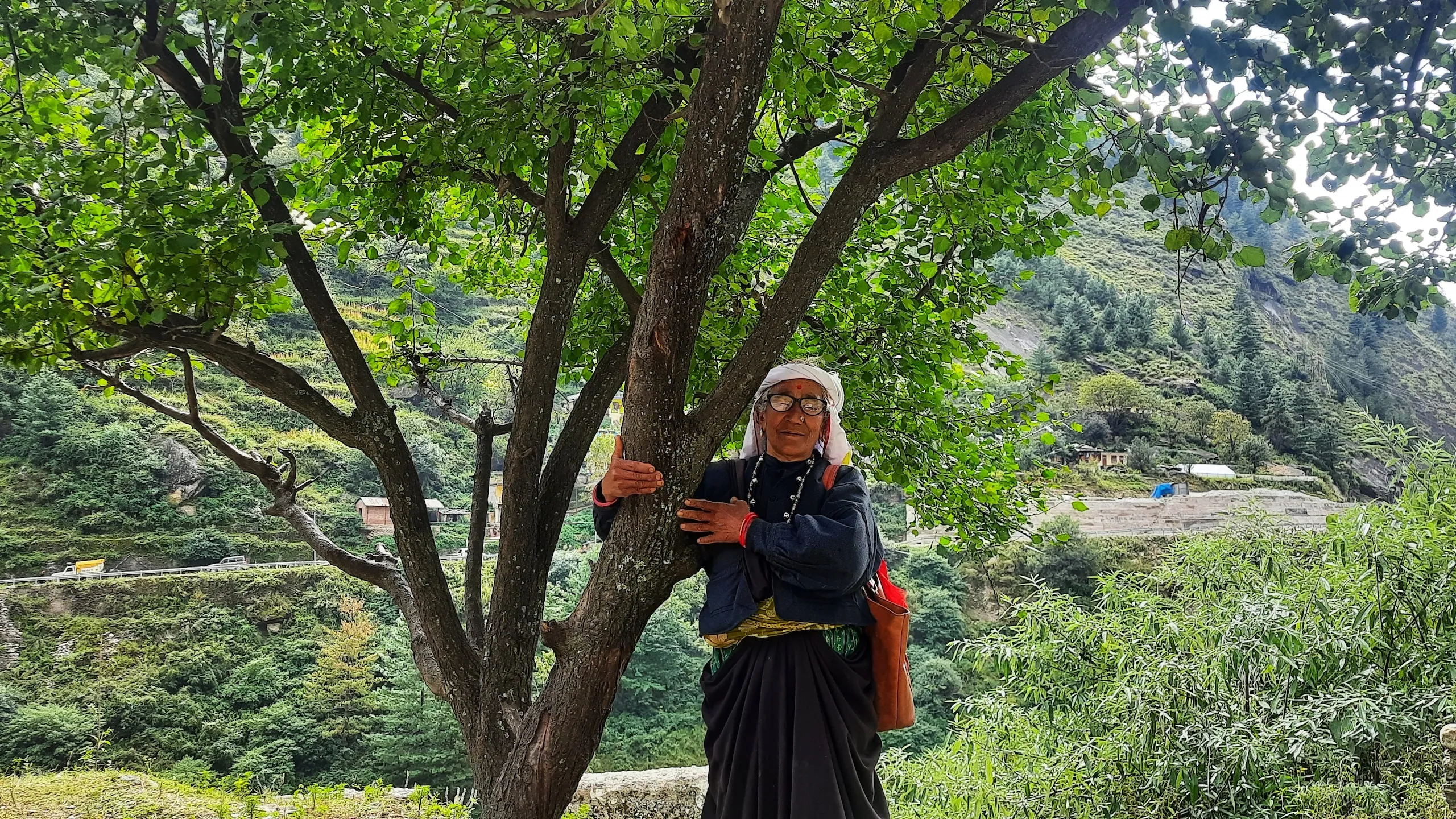 uttarakhand chipko movement