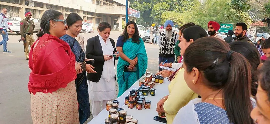  Fatehgarh Sahib exhibition anindita mitra