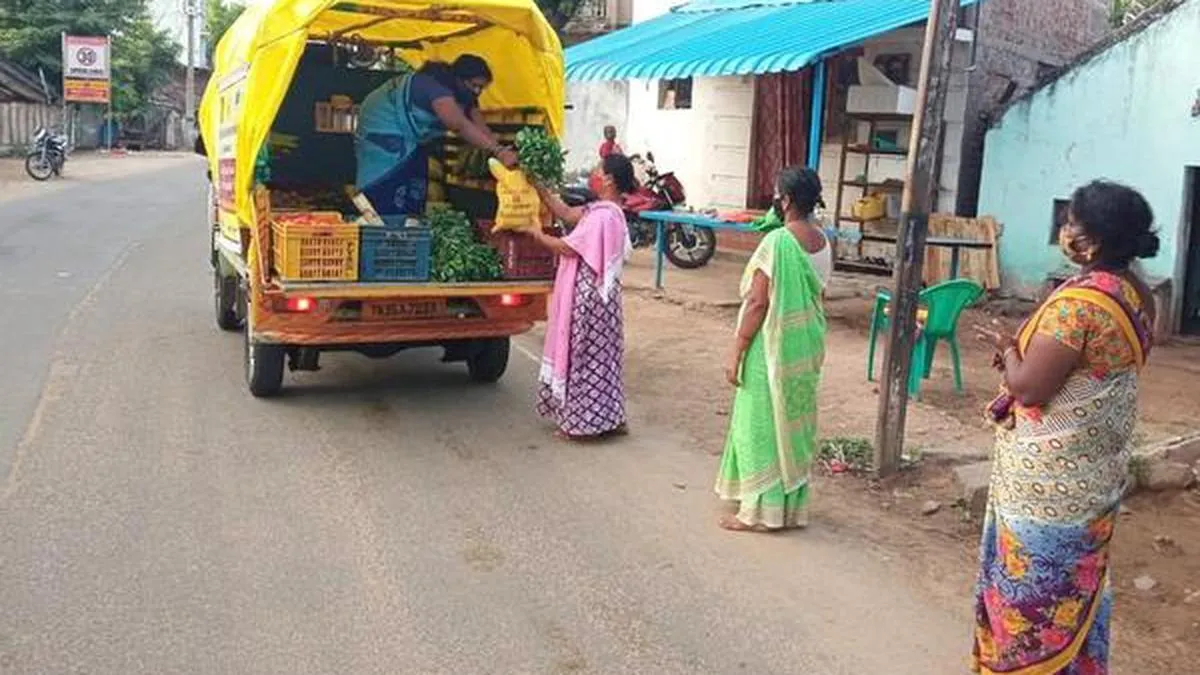 women run SHG in india ensuring food security