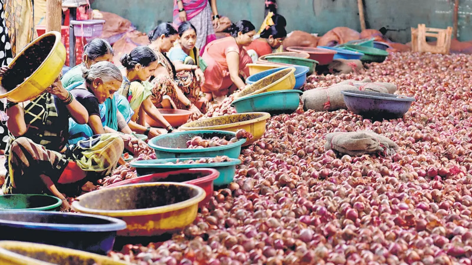 women nashik onion farming